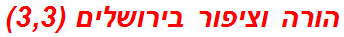 הורה וציפור בירושלים (3,3)