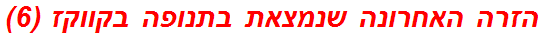 הזרה האחרונה שנמצאת בתנופה בקווקז (6)