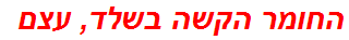 החומר הקשה בשלד, עצם