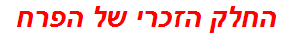 החלק הזכרי של הפרח