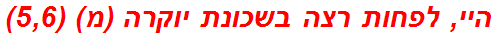 היי, לפחות רצה בשכונת יוקרה (מ) (5,6)