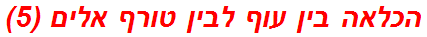 הכלאה בין עוף לבין טורף אלים (5)