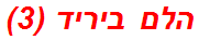 הלם ביריד (3)