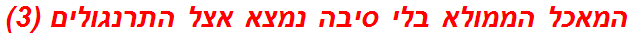 המאכל הממולא בלי סיבה נמצא אצל התרנגולים (3)