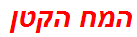 המח הקטן