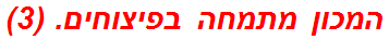 המכון מתמחה בפיצוחים. (3)