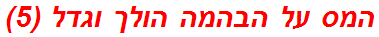 המס על הבהמה הולך וגדל (5)