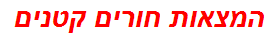 המצאות חורים קטנים