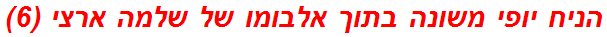 הניח יופי משונה בתוך אלבומו של שלמה ארצי (6)