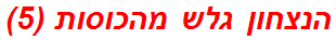 הנצחון גלש מהכוסות (5)