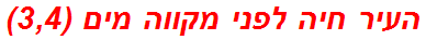 העיר חיה לפני מקווה מים (3,4)