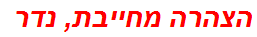 הצהרה מחייבת, נדר