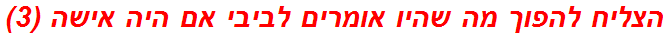 הצליח להפוך מה שהיו אומרים לביבי אם היה אישה (3)