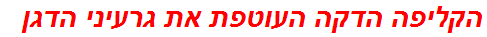 הקליפה הדקה העוטפת את גרעיני הדגן