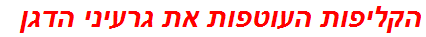 הקליפות העוטפות את גרעיני הדגן