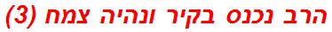 הרב נכנס בקיר ונהיה צמח (3)