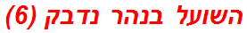 השועל בנהר נדבק (6)