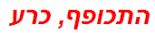 התכופף, כרע