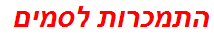 התמכרות לסמים