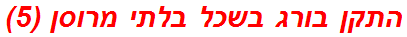 התקן בורג בשכל בלתי מרוסן (5)