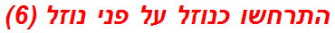 התרחשו כנוזל על פני נוזל (6)