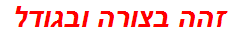 זהה בצורה ובגודל