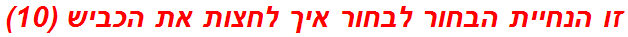 זו הנחיית הבחור לבחור איך לחצות את הכביש (10)