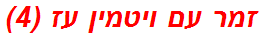 זמר עם ויטמין עז (4)