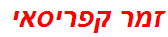 זמר קפריסאי