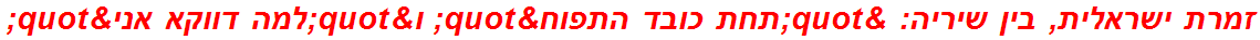 זמרת ישראלית, בין שיריה: "תחת כובד התפוח" ו"למה דווקא אני"