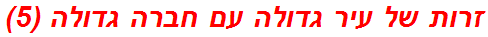 זרות של עיר גדולה עם חברה גדולה (5)