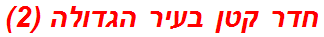 חדר קטן בעיר הגדולה (2)