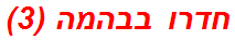 חדרו בבהמה (3)