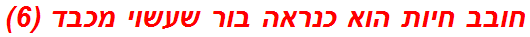 חובב חיות הוא כנראה בור שעשוי מכבד (6)