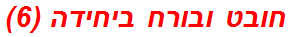 חובט ובורח ביחידה (6)