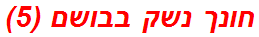 חונך נשק בבושם (5)