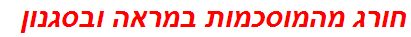 חורג מהמוסכמות במראה ובסגנון