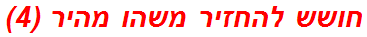 חושש להחזיר משהו מהיר (4)