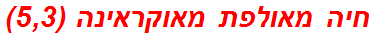 חיה מאולפת מאוקראינה (5,3)