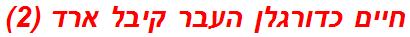 חיים כדורגלן העבר קיבל ארד (2)