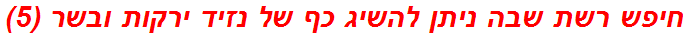 חיפש רשת שבה ניתן להשיג כף של נזיד ירקות ובשר (5)