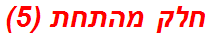 חלק מהתחת (5)