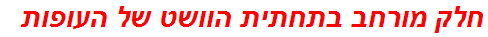 חלק מורחב בתחתית הוושט של העופות