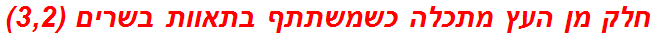 חלק מן העץ מתכלה כשמשתתף בתאוות בשרים (3,2)