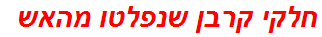 חלקי קרבן שנפלטו מהאש