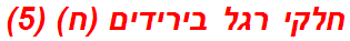 חלקי רגל בירידים (ח) (5)