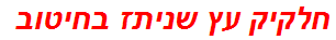 חלקיק עץ שניתז בחיטוב