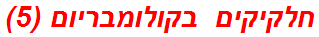 חלקיקים בקולומבריום (5)