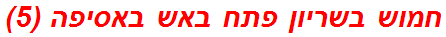 חמוש בשריון פתח באש באסיפה (5)