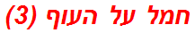 חמל על העוף (3)